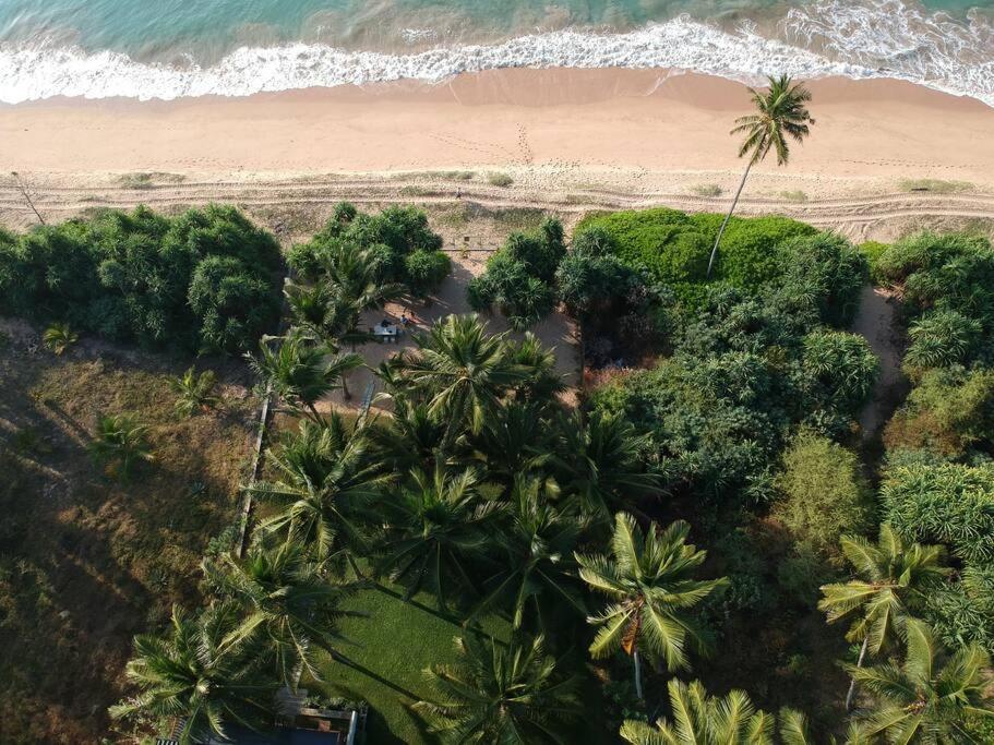 The Sanctuary- Tangalle Dış mekan fotoğraf